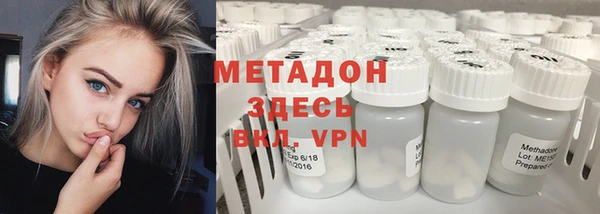 индика Алзамай