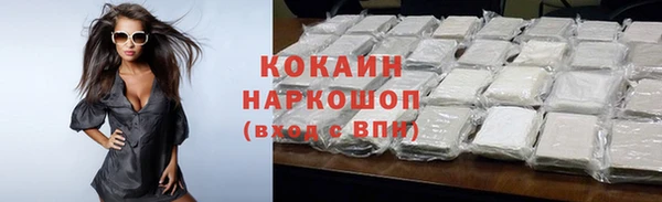 индика Алзамай